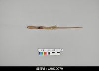 藏品(布袋戲道具-長槍(半成品))的圖片